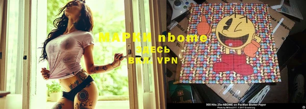 a pvp Гусь-Хрустальный