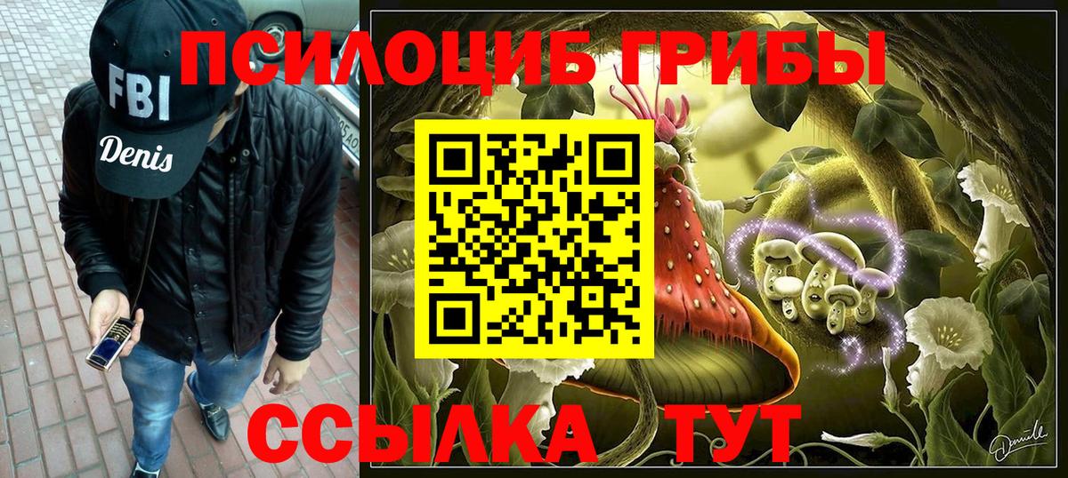 Галлюциногенные грибы Psilocybine cubensis Ялта