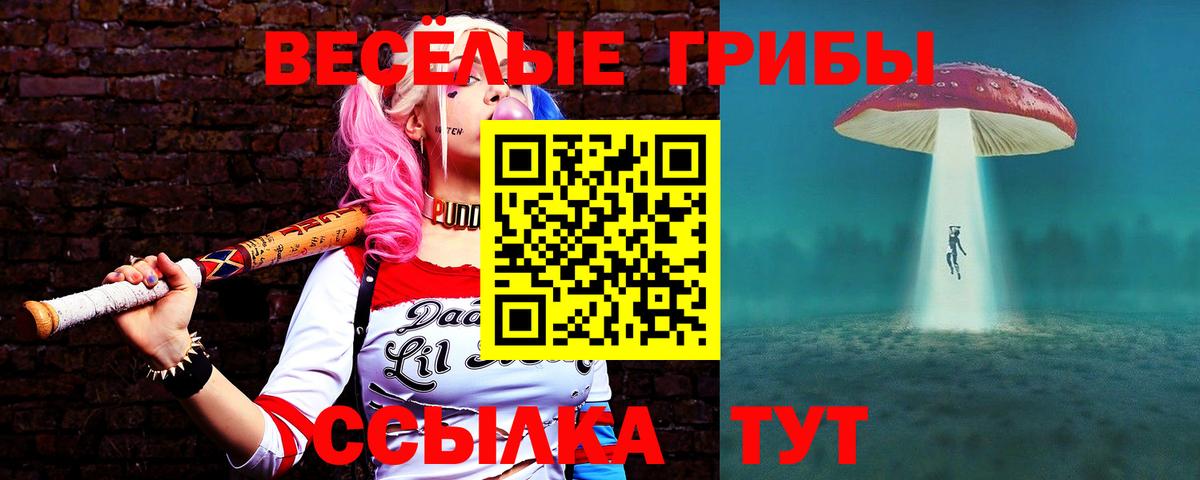Галлюциногенные грибы Psilocybine cubensis  Вход с VPN  Ялта 